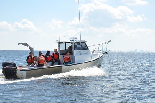 Oyster Recycling Program PSA: Part IV